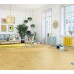 Ламинат Kronopol Дуб Подсолнух коллекция Fiori Aqua Zero D4588