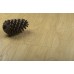Ламинат Kronopol Дуб Sunflower коллекция Aurum Eco Fiori (Aqua Zero) D 4588