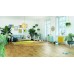 Ламинат Kronopol Дуб Sunflower коллекция Aurum Eco Fiori (Aqua Zero) D 4588